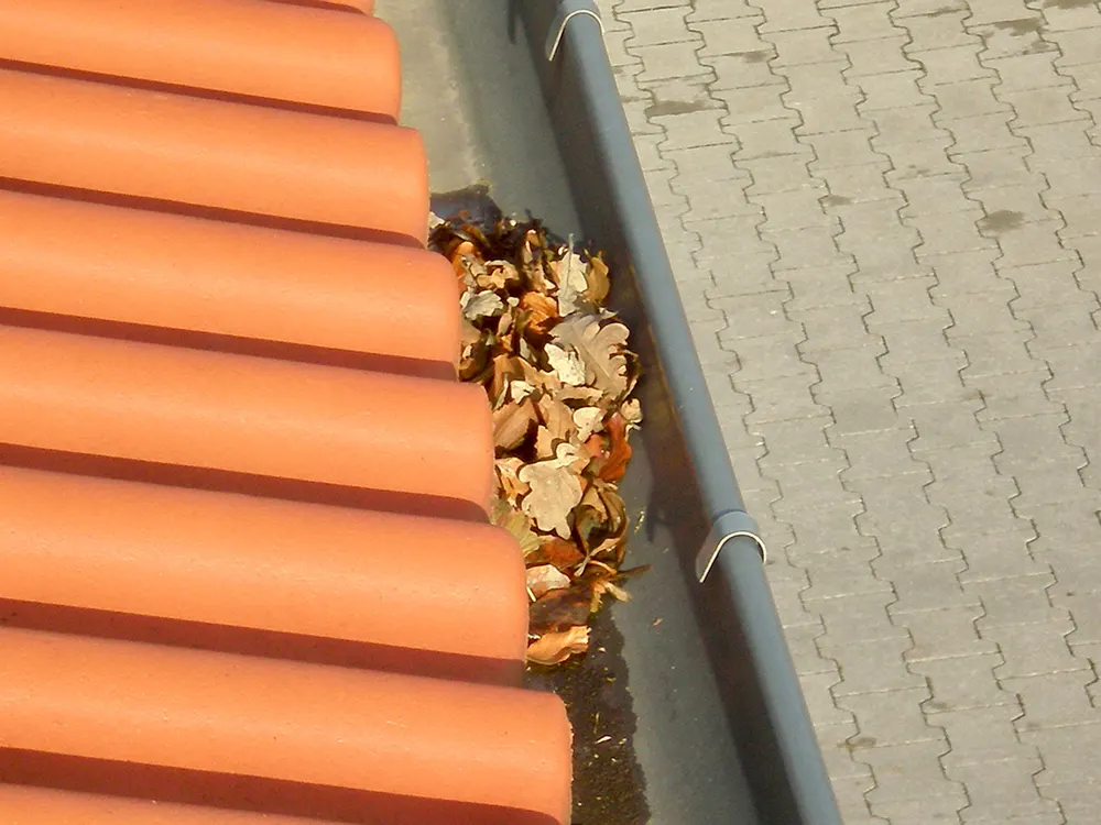 Dachrinne mit braunem Laub und Schmutz, neben orangefarbenen Dachziegeln und grauem Pflasterstein.