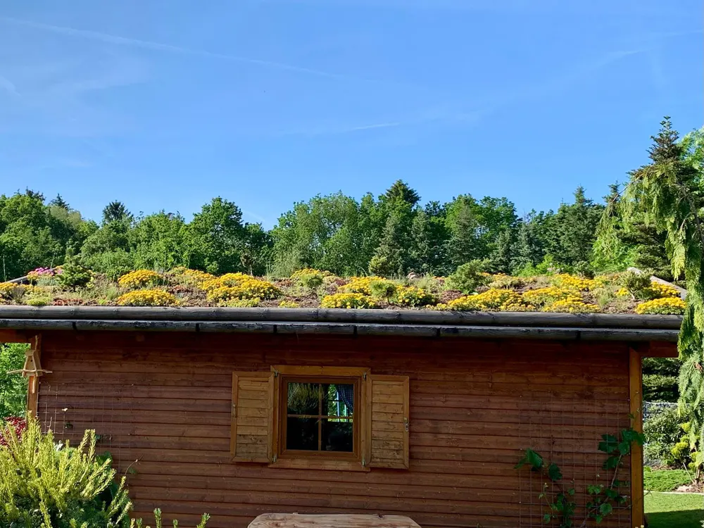 Holzhütte mit begrüntem Dach voller gelber Blumen unter blauem Himmel und grünen Bäumen.
